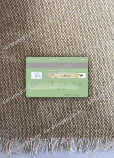 Gambia Arab Gambia Islamic Bank visa debit card photolook back